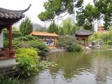 Chinese Gardens 9