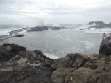 Rock Pool 1