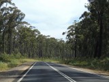 Victorian roads...