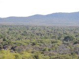 Wilsons Promontory NP 1
