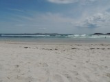 Squeaky Beach 3