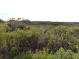 Wilsons Promontory NP 5