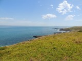 Nobbies Point 1