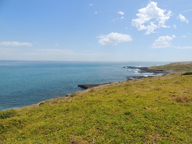 Nobbies Point 1