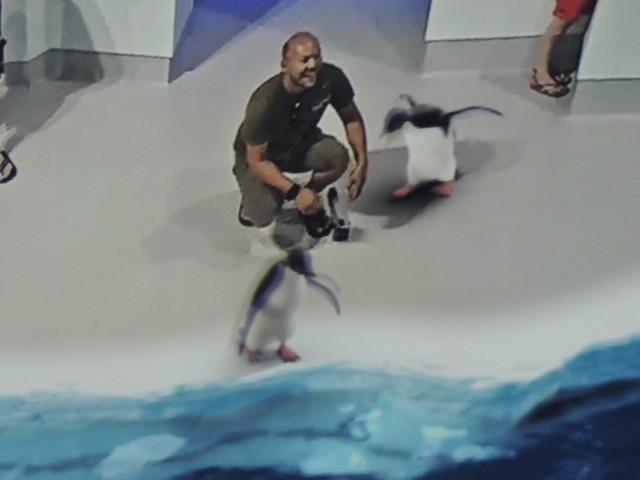3D Virtual Reality having fun 2 !!!