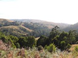 View on Great Ocean Road 7