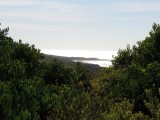 Cape Otway NP