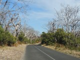 Cape Otway NP 2