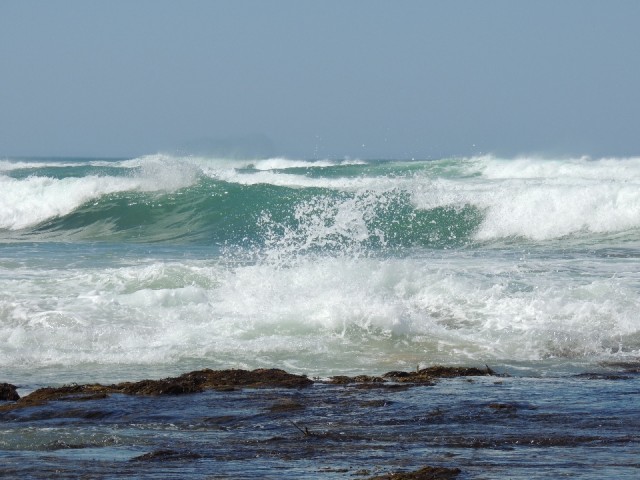 Gibson Steps 8