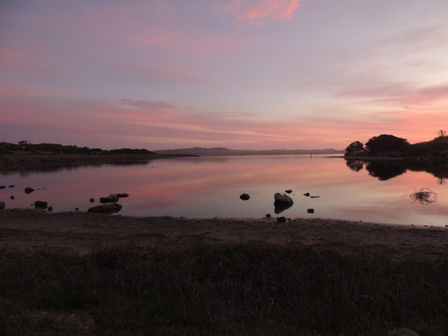 View van op the campground 1