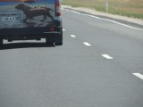 Eet eens een hot dog