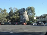 Giant Koala 1