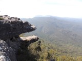 Reed Lookout 1