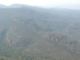 Reed Lookout 2