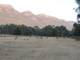 Grampians and Roo's campground