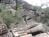 Grand Canyon 2