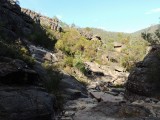 The Pinnacle walk 1