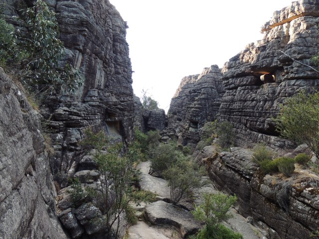 The Pinnacle walk 3