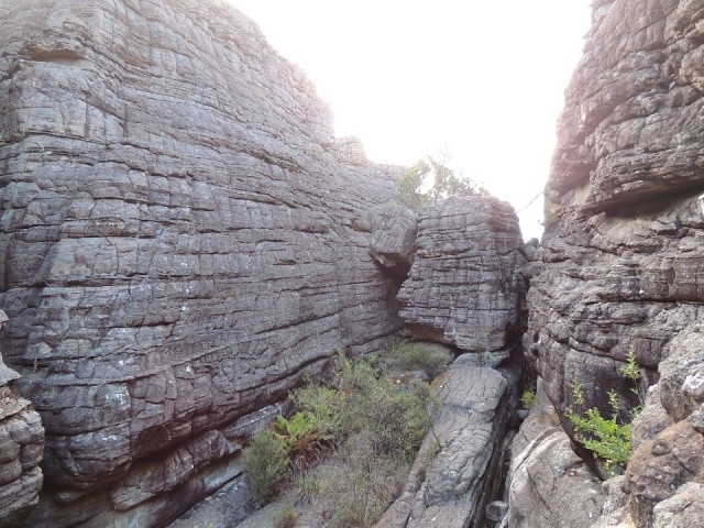 The Pinnacle walk 5