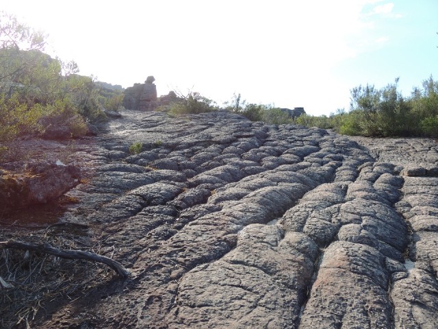 The Pinnacle walk 7