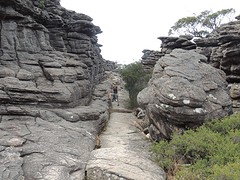 The pinnacle 3