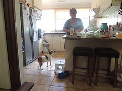 Kim and begging Tilly