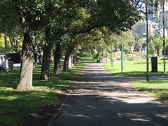 Alexandra Gardens 2