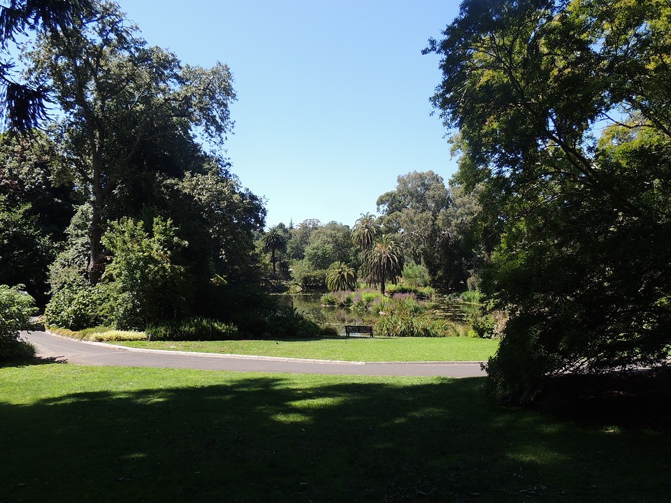Royal Botanic Gardens 1