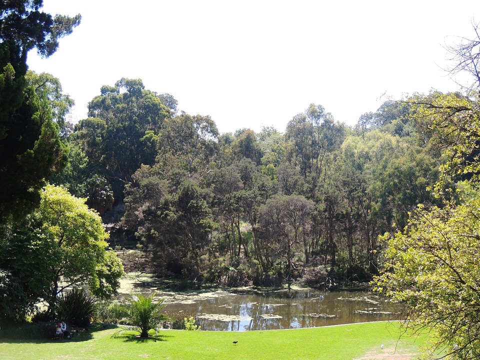 Royal Botanic Gardens 2