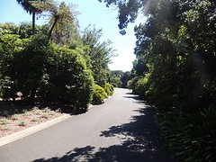 Royal Botanic Gardens 3