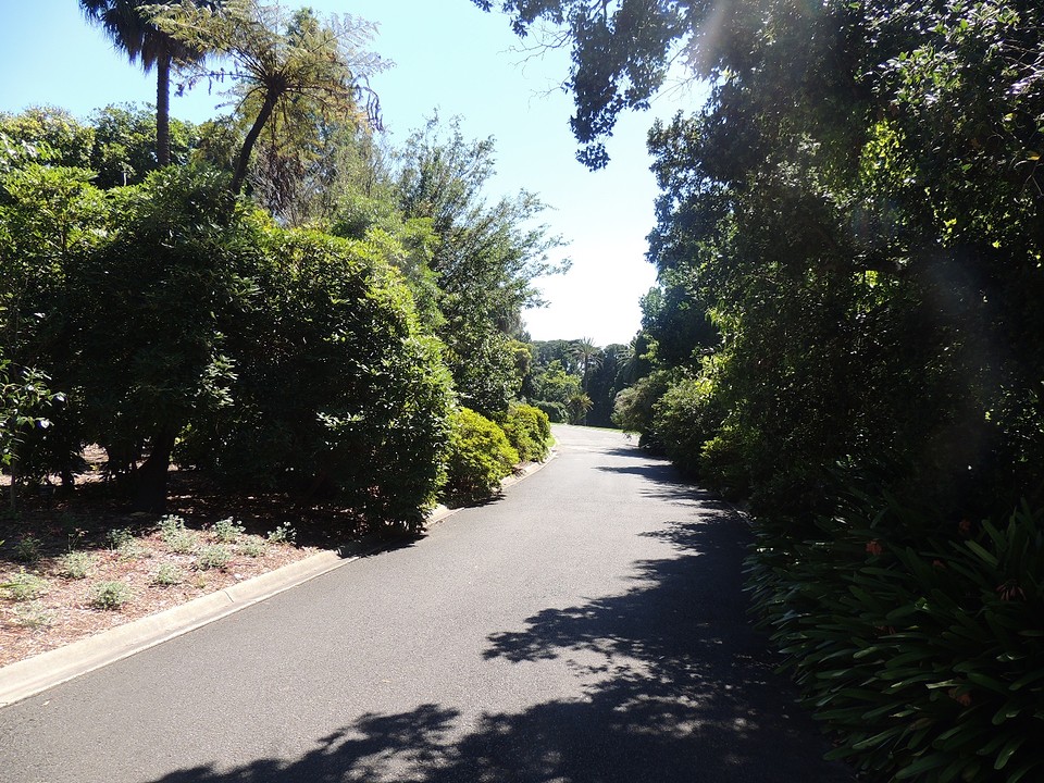 Royal Botanic Gardens 3