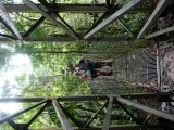 Hanging Bridges