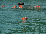 snorkelen