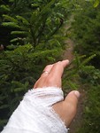 Hiking trail voor gipsarmpje