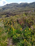 IMG_20220805_145129389_HDR