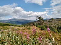 IMG_20220805_134235647_HDR