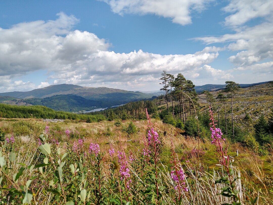 IMG_20220805_134235647_HDR