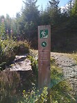 IMG_20220805_162654350