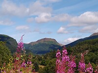 IMG_20220807_121225107