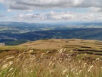 IMG_20220807_133002103_HDR