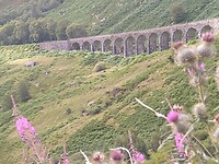 IMG_20220808_094902479