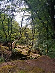 IMG_20220809_112702958_HDR