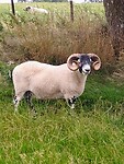 IMG_20220809_124912228