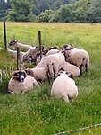 IMG_20220809_124931876