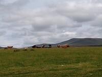 IMG_20220809_124528758