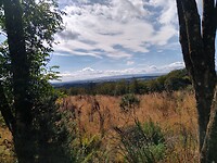 IMG_20220809_113313989_HDR