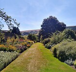 IMG_20220810_130925877_HDR