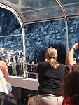 IMG_20220811_133340418