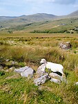 IMG_20220814_144748912