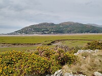 IMG_20220815_153457165_HDR